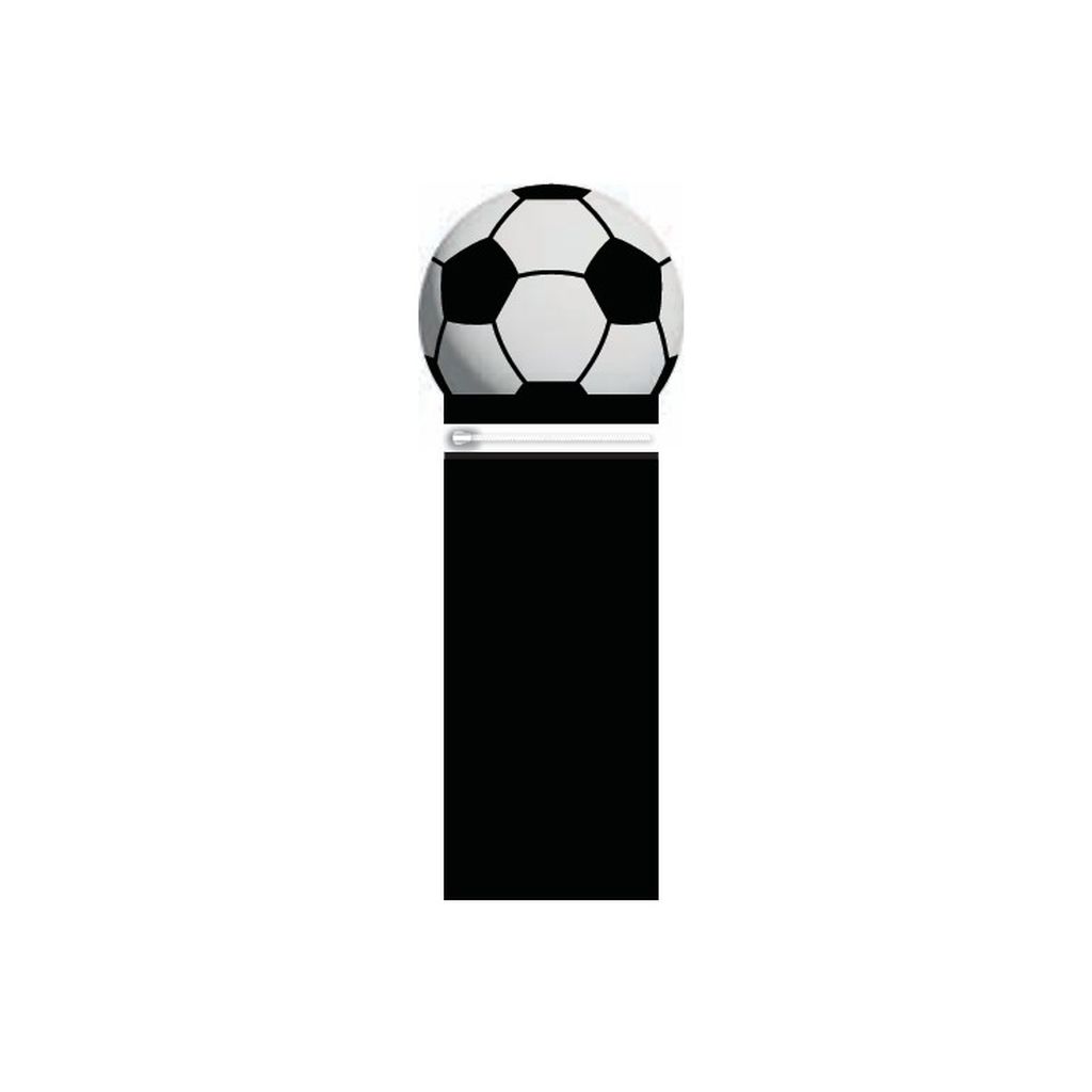 v1